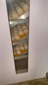 Fully Loaded & Hatch 🥰🥰🥰 | Shara Khate Cuerpo