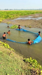 1.4M views · 12K reactions | Traditional village fishing video | Fishing Village | Facebook