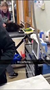 15K views · 507 reactions | The last cat… Funny cats videos #cat #funnycatvideos | Funny cats | Facebook