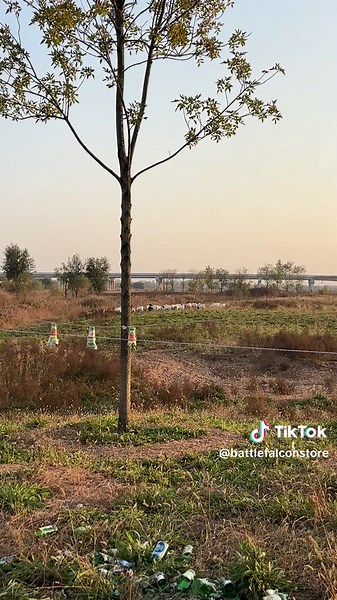 Rapid-fire Compound Bow#fyp #Archery #outdoors #tools #compoundbow