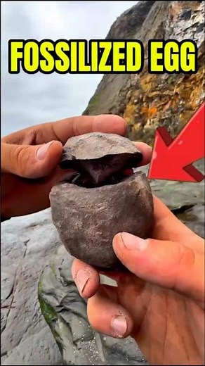 He Found the Perfect Fossil 😳 | Daily Fossils #shorts