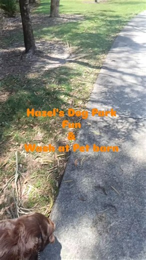 For Pets Sake! Pet Minder on Reels