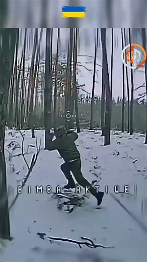 Signum befreit den Wald bei Lyman von Militär — das steckt dahinter