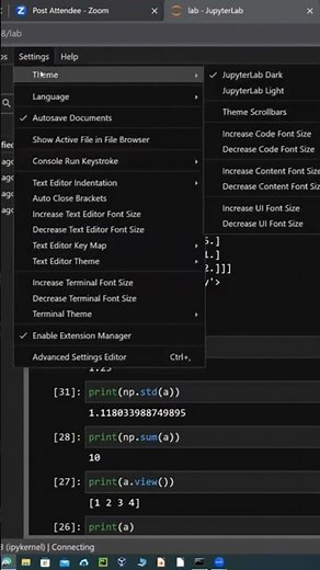 Jupyter Lab Change Theme to dark/light background