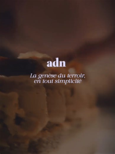 Restaurant ADN Bastia: A Culinary Journey in Corsica