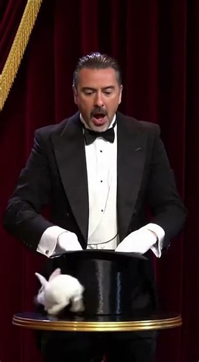 He Pulls One Rabbit… Then a Hundred Explode From the Hat