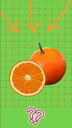 What's In The Picture? (TESTING YOUR VISUAL IQ)