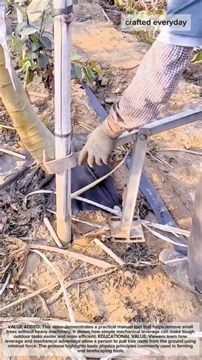 Manual Tree Puller Tool for Removing Small Trees and Roots #farming