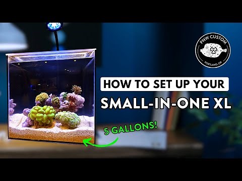 How To Set Up Your Small-In-One XL | 5 Gallon Desktop Aquarium | E1