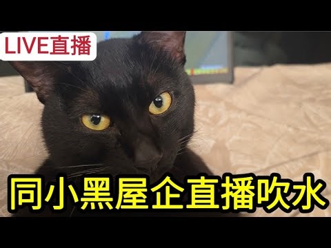 [LIVE直播] 同小黑屋企直播吹水飲紅酒!