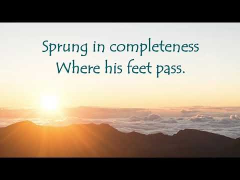 Hymn, Morning Has Broken, UMH 145