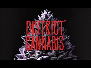 Exploring an Autonomous Cannabis Greenhouse at District Cannabis