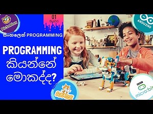 Programming කියන්නේ මොකද්ද? (පියවර 1) : Sinhala Programming Basics