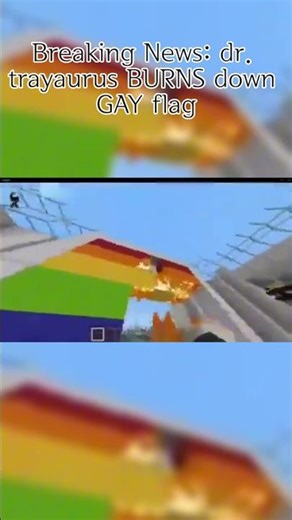 dr. trayaurus caught down burning gay flag #minecraft #memes #funny