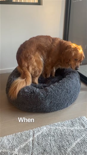 58K views | We made this bed for people who’ve had enough of heavy,...