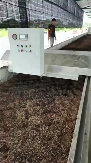 How to Build a Commercial Black Soldier Fly Farm? Complete Production Line Solution