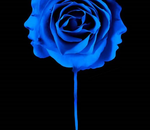 i know who killed me Summary, Trailer, Cast, Where to Watch and More