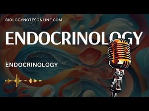 DeepDive into Endocrinology