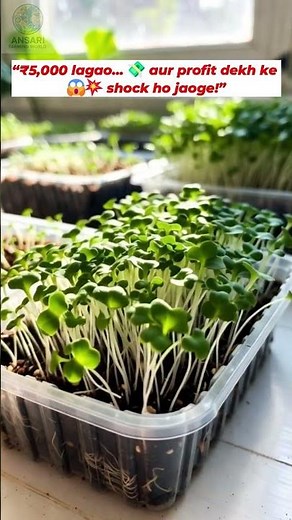 🌱 Agriculture Business Idea 2025 🚀 | Low Investment, High Profit 💰#AgricultureBusiness2025 #anas