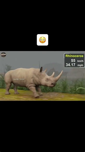 The Fastest Animals In The Entire World😳 #shorts