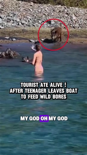 Cops rescue tourist seen feeding wild boars #truestory #rescue #cops #truecrime