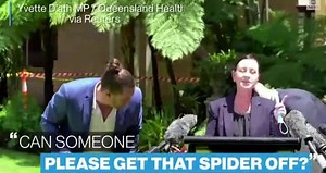 Spider interrupts COVID-19 news conference
