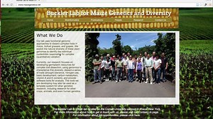 1. TASSEL installation and increasing heap size