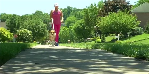 Walking vs. running: Which is better?