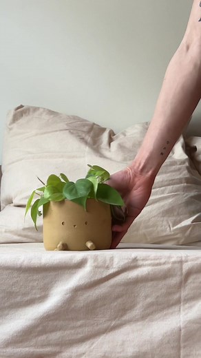 seattle.potter (@seattle.potter)’s videos with Look at this Distinguished Gentleman - Paul Provosty