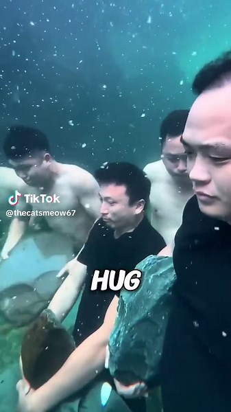 Rock-Hugging Underwater Racing #tiktok #thecatsmeow67 #shorts #viral #foryou #fyp #trending
