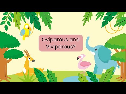 Oviparous and Viviparous Animals