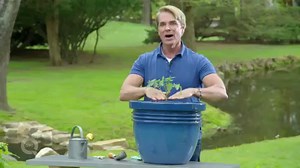 Get the scoop on planting your very own tomato garden! You can thank us later! 😁😁😁 | QVC
