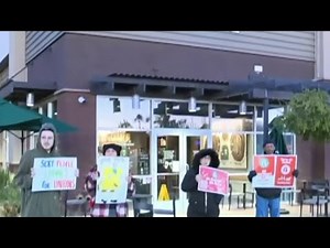 Local 4 News at 5 -- Nov. 17, 2022
