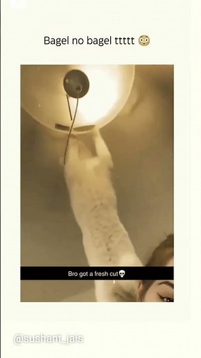 Bagel no bagel cat tttttt bro got a fresh cut meme