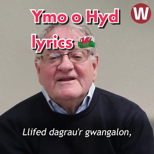 The full lyrics to Yma o Hyd in Welsh and English - by the man who wrote it! 🏴󠁧󠁢󠁷󠁬󠁳󠁿❤️✨ #ymaohyd #welshtiktok #wales #welshtok #welshlanguage #dafyddiwan #worldcup #walesfootball