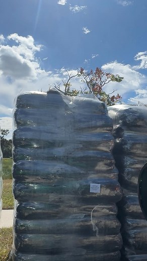 It’s that time of the year in Florida.. “Mulch Time” | Phil Pape