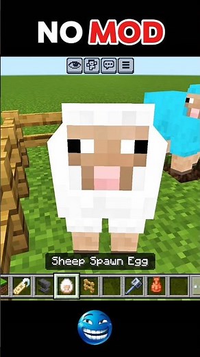 COLOUR changing sheeps💀 #minecraft #tsgamer
