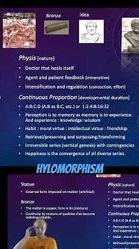 Hylomorphism of Aristotle