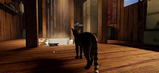 Exploring Lake Territory in Warrior Cats