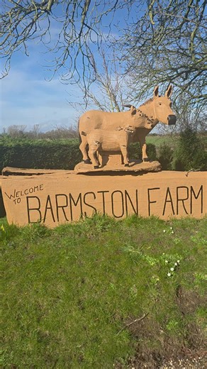 Spring has sprung here at Barmston Farm, and what a delightful view it is 🌼 Blue skies over our 18 acres, fresh countryside air, flowers beginning to bloom, and the farm slowly waking up again. The animals are enjoying the brighter days, and the fishing lake is looking beautiful in the sunshine. There’s something truly special about this time of year at our little family-run farm 💛 #holidaypark #farmstay #familyrun #familytime #spring