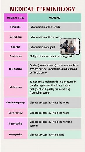 Medical Terminology: Essential Terms Every Healthcare Student Should Know