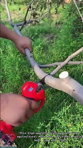 Sharp Tree Pruning Shears || Quick Branch Cutting, Time-Saving Tool