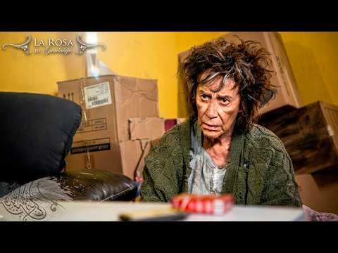 The Rose of Guadalupe | GRANDMA TRINI [Part 1] | Chapter 2026 Full HD