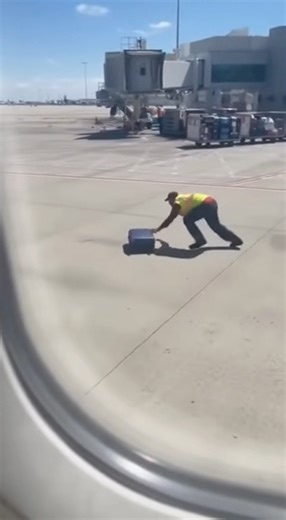 8.2K views · 21 reactions | Little bit windy today 藍 | The Reel Nelly | Facebook