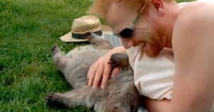 WATCH: Man Cuddles Wombat, Cuteness Ensues