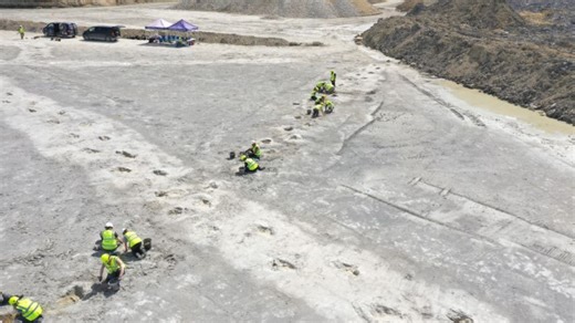 'Dinosaur Highway' With Around 200 Footprints From Jurassic Period Discovered In UK