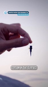 Look at that Trout! 😱 Have you tried fishing surface streamers? - ‘The Fish & The Fly’ on FishingTV Click the link to watch now! https://www.fishingtv.com/series/the-fish-the-fly/ Again we join Morten Oeland on fishing trips in different locations. We fish in high mountain lakes and saltwater along the open shore, studying streamers and surface flies. We see the prey the streamers imitate and the different techniques Morten uses when fishing the flies. Underwater cameras have provided stunning 