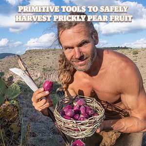 2K views · 190 reactions | How to Make Primitive Tools to Harvest Prickly Pears! | Chad Zuber | Facebook