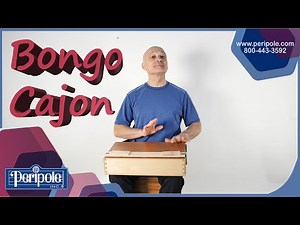 Bongo Cajon - Introduction & How-To