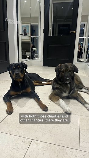 302K views · 2.4K reactions | 'A dog is not a gift.' Olivia explains why she discourages people from gifting pets at Christmas  | Loose Women | Facebook